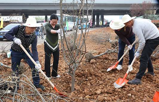 永盈会·(中国区)官方网站