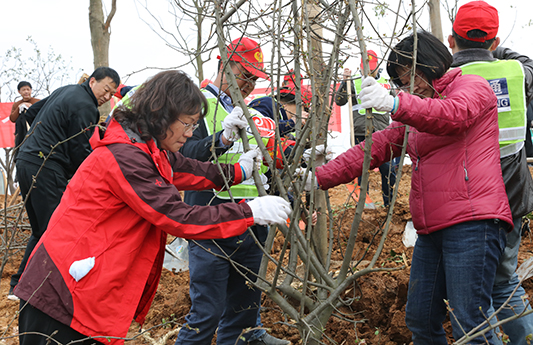 永盈会·(中国区)官方网站