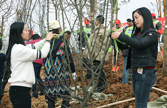 永盈会·(中国区)官方网站